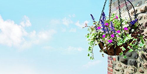 Gardman Schmiedeeiserne Blumenampel, 40 cm - 6