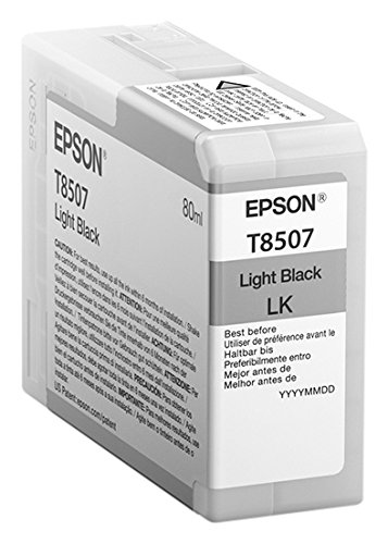 Epson C13T850700 Singlepack leiß schwarz