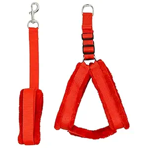 Nylon Dog Harness and Leash for Dogs & Puppies with Fur Nylon Set for Adult Small Dogs, Minimum & Maximum Neck Round Size -16 inch - 20 inch (0.75 inch-Small, RED)