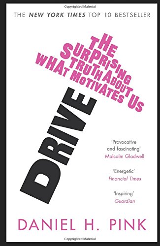 Drive: The Surprising Truth About What Motivates Us