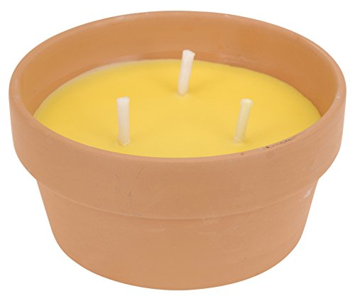 Citronella Candle 08261 Kerze Zitronengras + Übertopf Terrakotta braun 16,8 cm