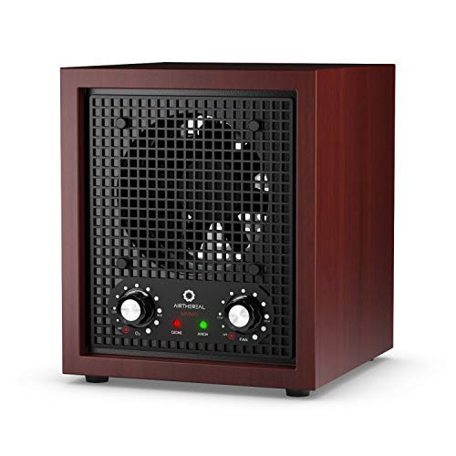 Airthereal Generador de ozono WA600 ozono aire purificador con anión, 600 mg ozonizador esterilizador de aire para habitaciones, humo, autos y animales domésticos