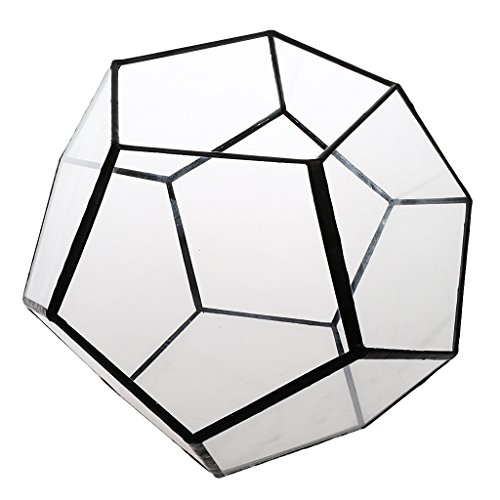 Preisvergleich Produktbild Blesiya Geometrische dekorative Terrarium Glas Sukkulente Pflanzgefäß Pflanzbehälter Haus Dekoration - durchsichtig, 175*175*150MM