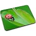Produktbild Tiere 10009, Marienkäfer, Designer Mousepad Unterlage Mauspad Maus-Pad Stark Anti Rutsch Unterseite für Optimalen Halt mit Lebhaftes Motiv Kompatibel mit Apple Magic Maus. Ideal für Gamer und für Grafikdesigner