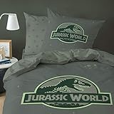 JURASSIC World Logo Parure, 100% Coton, Vert, 140X200+63X63-taille française