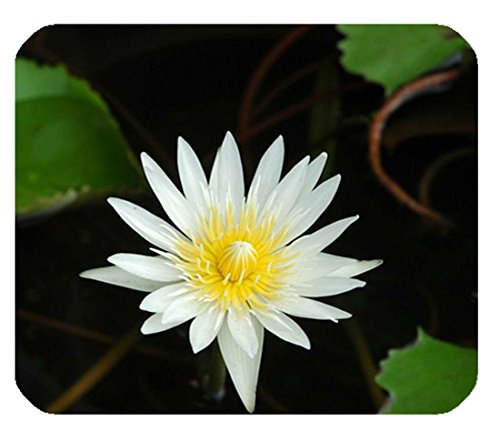 Preisvergleich Produktbild Seerose Grün Sommer Nature Poster Design Gummi rechteckig Mauspad