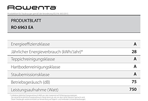 Rowenta RO6963EA X-Trem Power Cyclonic Car Care Bodenstaubsauger, beutellos, 750 W, 2,5 L, hocheffizienter Filter, schwarz/ rot - 3