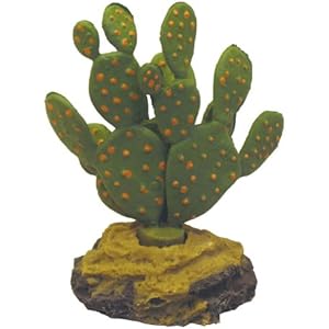 Namiba Terra 5934 Mini Opuntie, auf Felssockel small, 9 cm