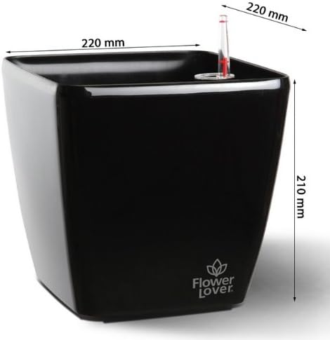 Flower Lover Quadrato Indoor Or Outdoor Flower Planter Irrigated Self Watering With (22x22x21cm) - GLOSSY BLACK