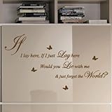 Snow Patrol IF I LAY HERE Song Lyrics Art Wall Stickers Quote/Wall Decals
