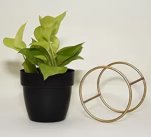 Beautiful Black Planter Set for Living or Bed Room (Without Plant)