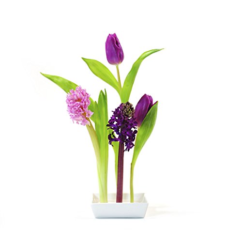 XXD Vase Florida Keramik mit 5 Steckplätzen - 4