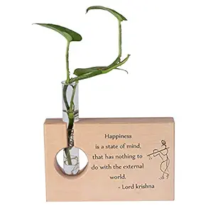 RK Cart Lord Krishna Wooden Decorative Items for Home & Office Table Accessories, Plant Holder Stand with Test Tube Vase