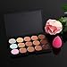 Chinatera 15 Colours Face Makeup Concealer Contour Camouflage Palette+4Pcs Cosmetic Blusher Foundation Powder Kabuki Brushes + Pink Sponge Puff