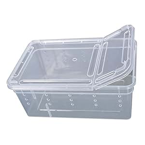 Bol Alimentaire Pour Reptiles - Mangeoire Escaladable Pour Caméléons, Geckos, Dragons Barbus