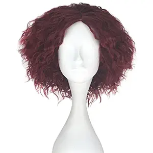 Miss U Hair Synthetic Short Fluffy Curly Hair Men Boy Party Cosplay lolita Wig Halloween Adult(Burgundy)