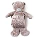 Me To You Tiny Tatty Teddy Foldable Blanket Bear