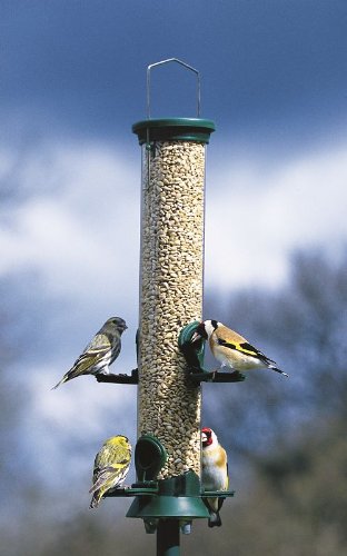 C J Wildlife Challenger Feeders Medium Challenger Seed Feeder