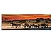 Produktbild Leinwandbild Bild Herd of Elefants Kunstdruck Druck Afrika Tiere Wild Tiger Safari Reise Urlaub Wandbild 120x40cm No.53 (150x50cm)