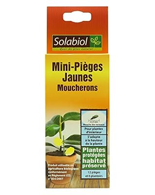 SOLABIOL SOPIFLOR Mini-Pièges Jaunes Moucherons Discret pour Plantes D'Intérieur, 8 x 2 x 23 cm