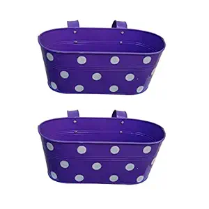 Tovick Indoor Garden or Balcony Decor Polka Design Metal planters with Detachable Hooks for Indoor Decor/ Garden Decor.