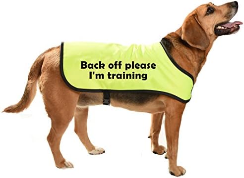 high viz dog communicoat - Back off please I am training - training aid/safety for dogs who need space - MEDIUM