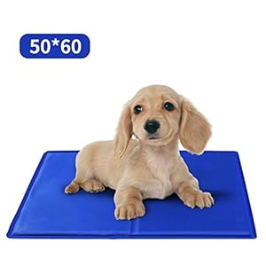 Nobleza – Alfombrilla refrescante para Mascotas Grandes. Auto refrigerante No tóxico. Ideal para para Perros, Gatos en Verano. 50 * 40 cm, Color Azul, S