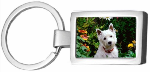 The Lazy Cow West Highland Terrier (Westie) Cromo Llavero en Caja (FC) 253