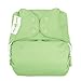 Bumgenius V4 Cloth Nappy (Snap, Grasshopper)