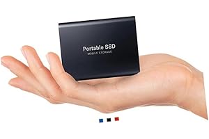 WERANGT 2 To Portable External Hard Drive, Disque dur externe 2 To Portable Solid State Drive USB3.1 Type-C pour Mac, bureau, PC, ordinateur portable (2 To noir)