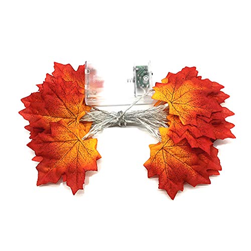Preisvergleich Produktbild Hemore Weihnachtsdekoration, 4M40 Lichter, Kanada, Ahornblatt, LED, Lichterkette, Weihnachtsdekoration, Orange, 1 Stück