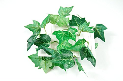 Fibula [Style] ® Komplettset „Flair türkis“ Größe S Tischdekoration für Hochzeit/Taufe/Geburtstag/Kommunion/Konfirmation/Jubiläum in türkis – creme für ca. 8 – 10 Personen - 7