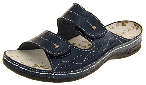 « Click to Enlarge and to go to Amazon »