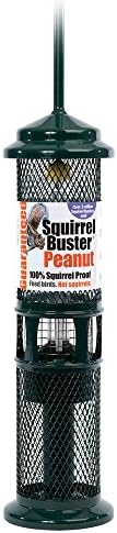 Brome 100% Squirrel Proof Buster, Small Wild Garden Birds Hanging Peanut Feeder by Happy Beaks