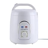  Fdit Sauna Steamer Vapor 1.5-1.8L Sauna portátil Steam Sauna SPA para Hogar Baño 110V / 220V(220V EU Plug)
