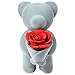 Price comparison product image Everlasting Rose Bear, Hug Flower Doll for Girls Wedding Birthday Gift, I Want To Hug You Meaning