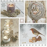 Preisvergleich Produktbild 20 Servietten 25x25 cm Homelike