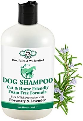Morrocco Method Foam Free Dog Shampoo 473 ml - 16 oz