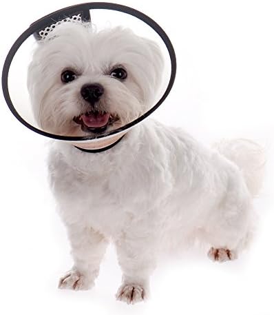 TAONMEISU Protective Elizabethan Collar Wound Medical Healing Cone Protection Bite Smart Collar for Dog Cat Pet Transparent