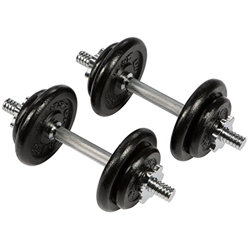 Ultrasport Guss-Kurzhantel-Set 30 kg, 2 x 35 cm Hantelstange mit 8 x 2,5 kg und 4 x 1,25 kg Scheiben