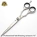 FRESH ARRIVAL Professional Hairdressing Scissors, Barber Salon Scissors + Cas (6.5