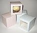 10 Single Cupcake Striped Boxes Pink,Blue Square Window or Plain (Pink Stripe Window)