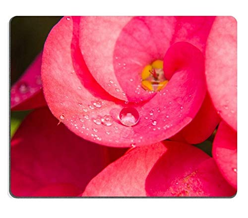 Preisvergleich Produktbild Kundengebundene GummiMousepad Spiel-Mausunterlage Heiliger Lotus und Chakras