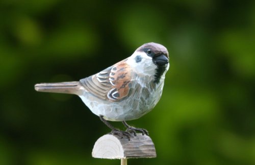 Wildlife Garden Dekovogel Holzvogel – Feldsperling – Handgeschnitzt - 2