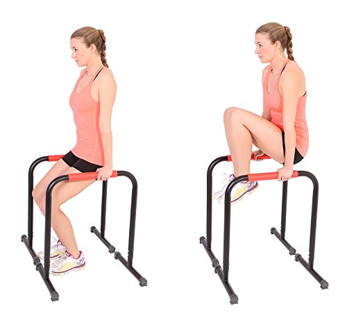 SportPlus Fitness Rack Pro, Höhe 70 cm, für Dips, Beinlifts, Liegestütze und mehr, Benutzergewicht bis 120 kg, Sicherheit geprüft nach EN ISO 20957-1, EN 957 - 4