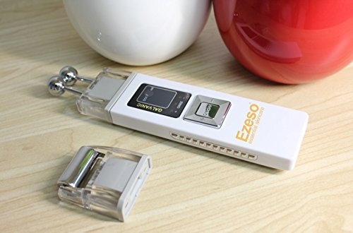 Ezeso Microcurrent Galvanic New Face Skin Spa Device Beauty Salon Equipment