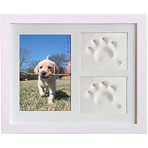 Suchergebnis auf Amazon.de für bilderrahmen hund Särge, Urnen