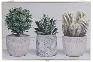 D'CASA D,casa - Tapa de Contador diseño Lienzo Cactus Verde