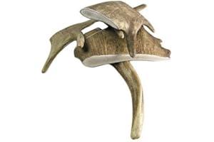 ARTISAN GIFT CO Damhirschgeweih Kauknochen für Welpen und Große Hunde - Mindestgewicht 150 Gramm (L, L - 1 st)