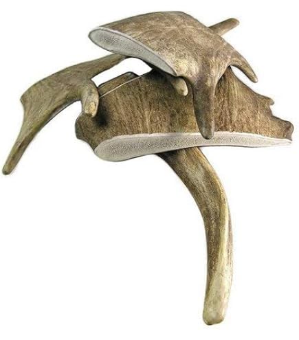 ChronoBalance Damwild Hirschgeweih Für Hunde – Natürliches Kauspielzeug Zur Zahnpflege, XL (1 Stück)